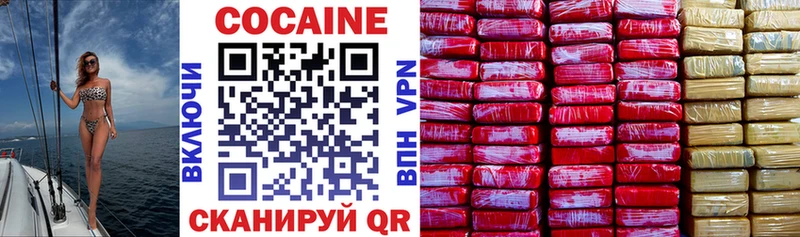 Купить закладки  Порхов  COCAIN FishScale 