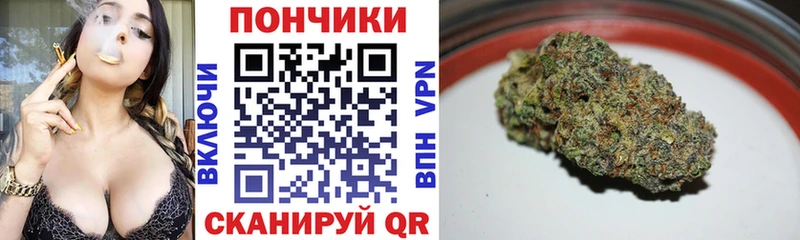 Конопля SATIVA & INDICA  Купить  Порхов 